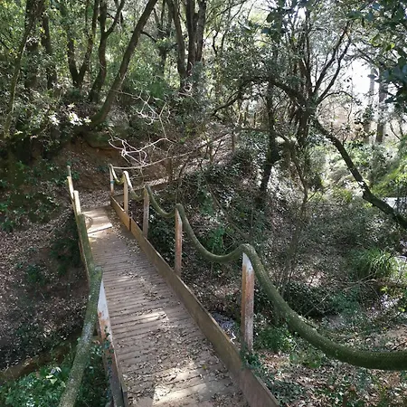 A 2 Pas De La Apartment